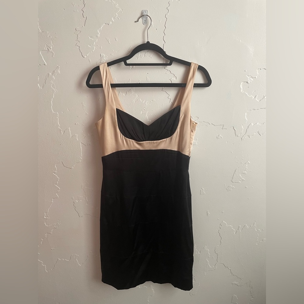 Champagne and Black Mini Dress